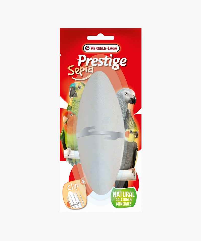 VERSELELAGA SEPİA MİNERAL16CM MÜREKKEP BALIĞI KEMK
